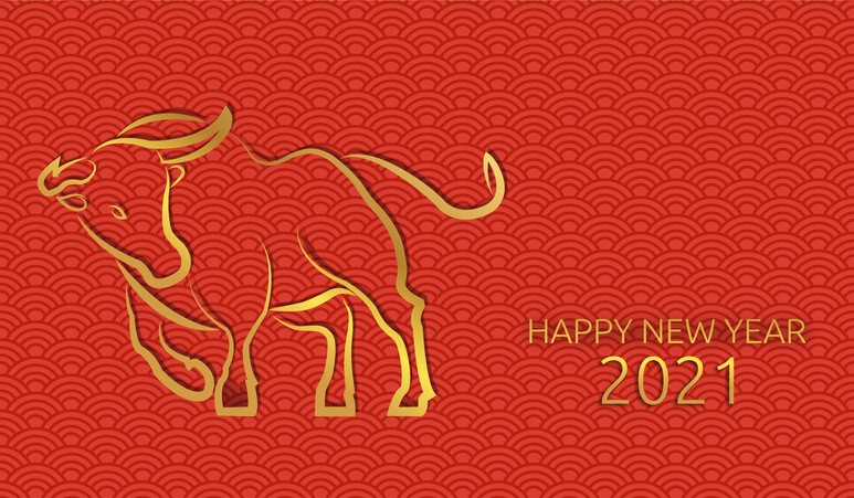 Chinese new year 2021 of the ox. Chinese pattern, seamless red background. Gold text and bull. Traditional oriental ornament. China traditional. Vector.